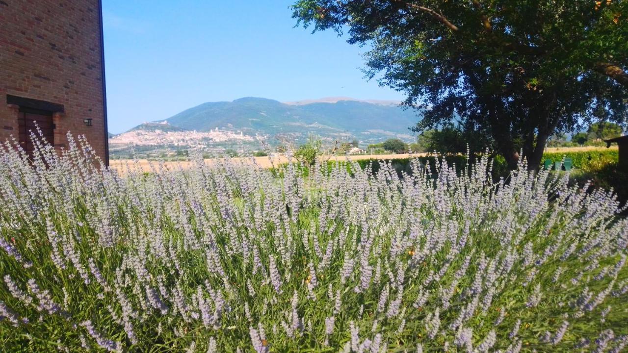 Assisium Agriturismo Kültér fotó