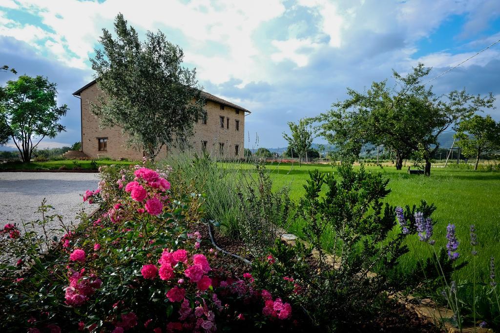 Assisium Agriturismo Kültér fotó