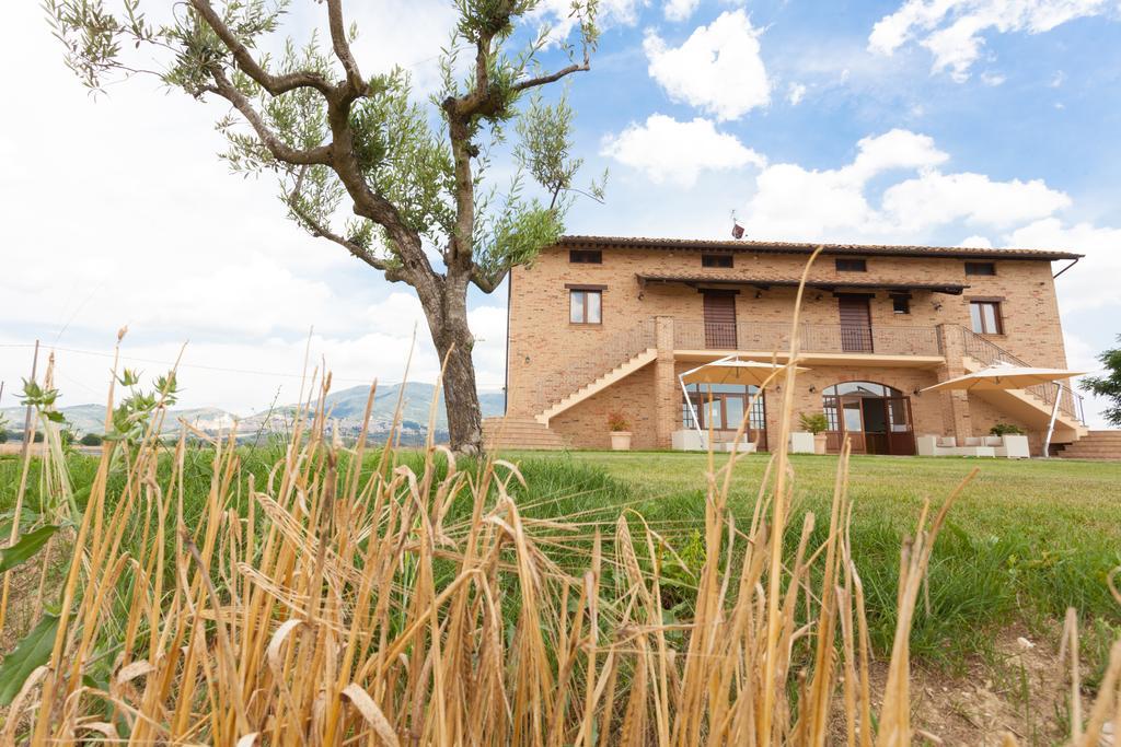Assisium Agriturismo Kültér fotó