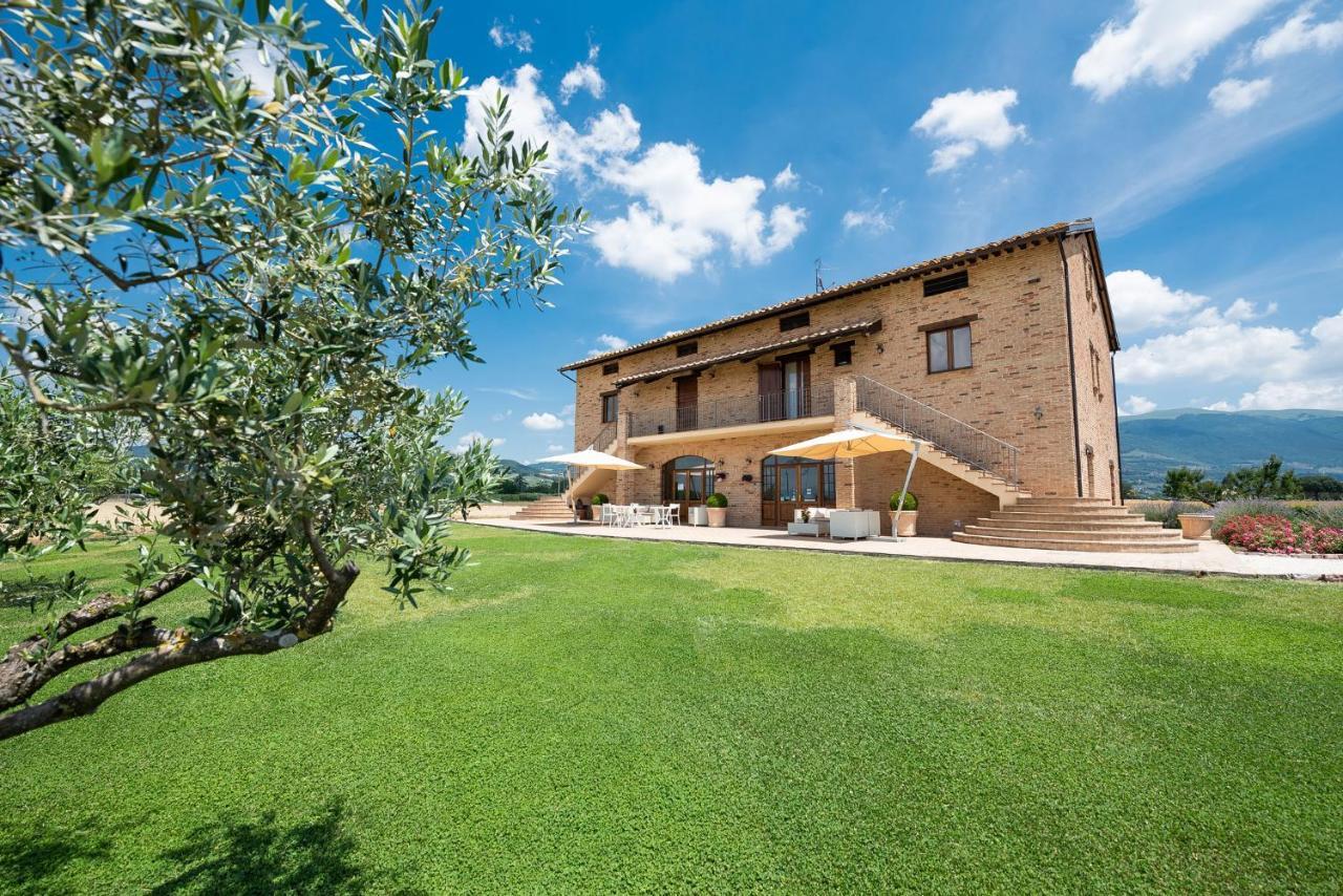 Assisium Agriturismo Kültér fotó